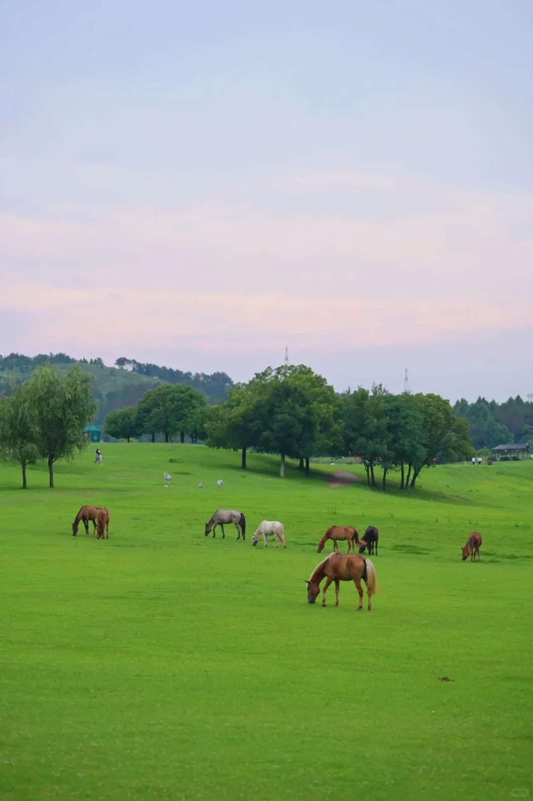心清涼丨武漢夏日撒歡指南，一起清涼出行奔赴詩(shī)和遠(yuǎn)方吧!